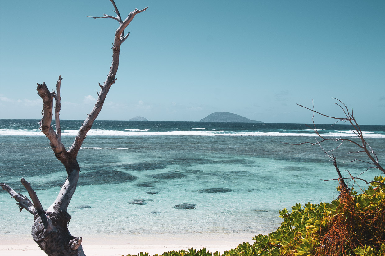 Dreamcatcher, Mauritius, Flat Island / Ile Plate